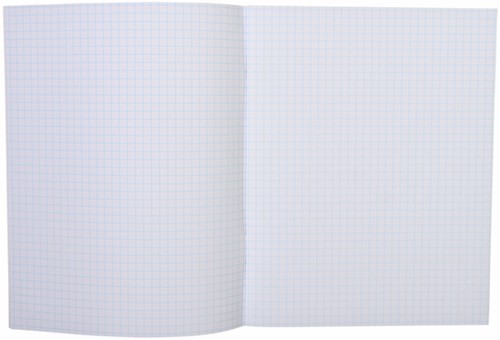 Schrift 210x165mm ruit 5mm 80blz assorti-2