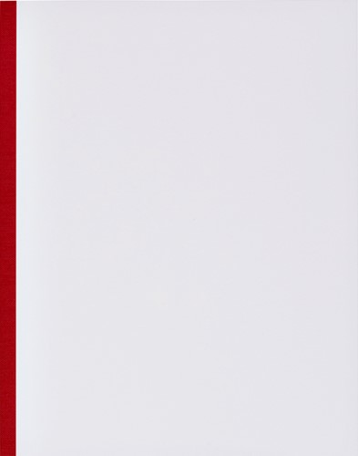 Kasboek 165x210mm 1 kolom 160blz  rode rug assorti-3