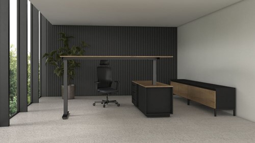 Directiebureau Industrieel zit/sta-2