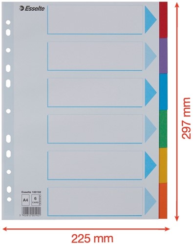 Tabbladen Esselte A4 11R karton 6-delig met voorblad-2