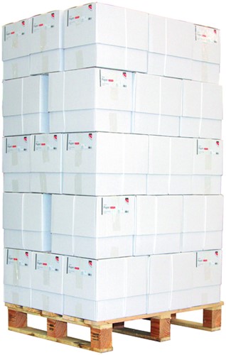 Kopieerpapier Quantore Economy A5 80gr wit 500vel-3