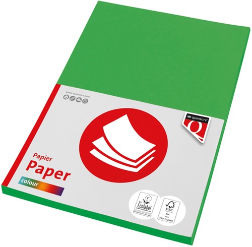 Kopieerpapier Fastprint A4 160gr grasgroen 50vel