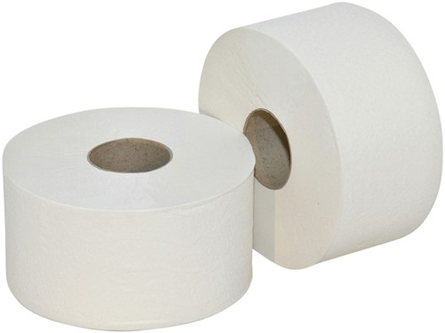 Toiletpapier Euro mini jumbo RW 2L-2