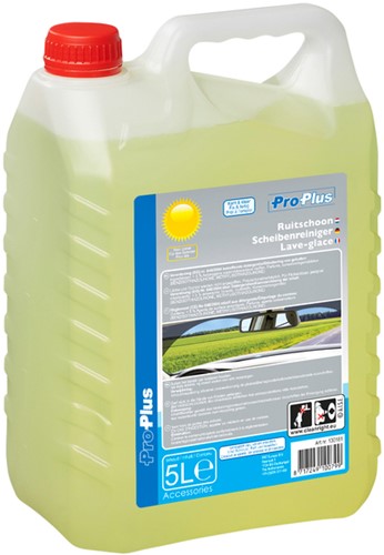 Ruitenvloeistof ProPlus zomer kant en klaar 5L-2