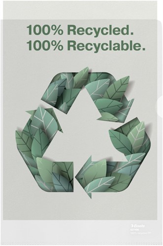 Insteekmap L-map Esselte A4 100% gerecycled PP transparant mat doos/100-3