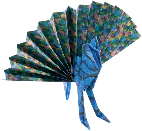 Vouwblaadjes Folia 80gr 15x15cm 50 vel 2-zijdig 10 wildlife designs-3