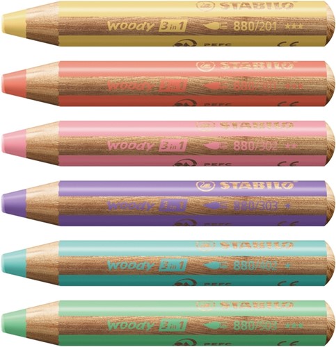 Kleurpotloden STABILO 880 woody inclusief puntenslijper pastel assorti etui à 6 stuks-2