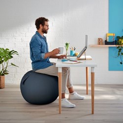 Poufs and exercise balls