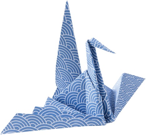 Vouwblaadjes Folia 80gr 15x15cm 50 vel 2-zijdig Japan 10 designs ass-3