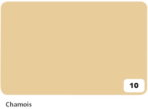 Fotokarton Folia 300gr 50x70cm 10vel 10 chamois