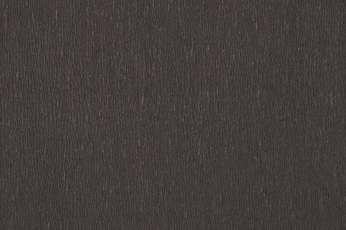 Crepepapier Folia 250x50cm nr199 zwart-2