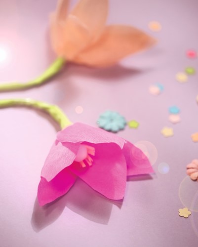 Crepepapier Folia 250x50cm nr134 felrood-3