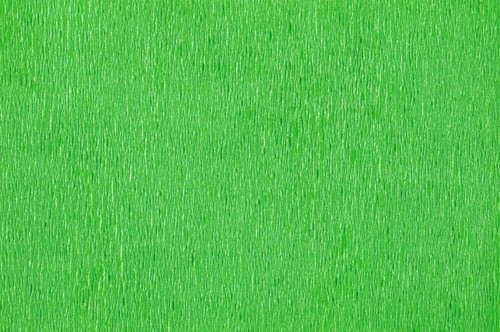 Crêpepapier Folia 250x50cm nr140 kerstgroen-2
