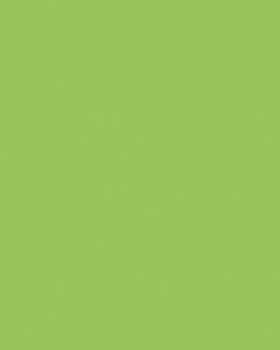 Etalagekarton folia 48x68cm 380gr nr941 fluor groen