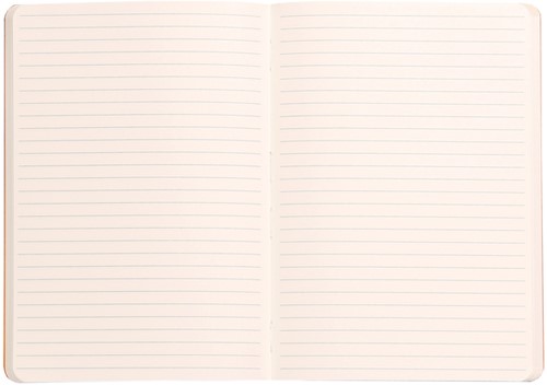 Notitieboek Rhodia A5 lijn 80 vel 90gr titanium-2