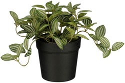 Kunstplant Mica Tradescantia in pot 16x16cm