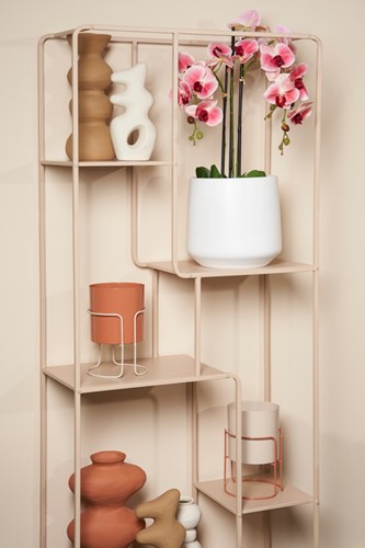 Kunstplant Mica Phalaenopsis orchideeën roze in plastic pot 79x51cm-2