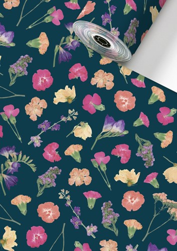 Apparaatrol Stewo Maila 150mx30cm