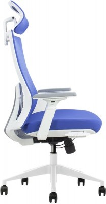 Bureaustoel Kleurrijk - Blauw/ Blauw-2