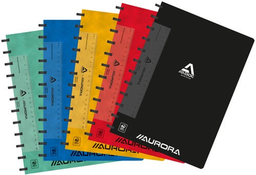 Schrift Adoc Classic A4 ruit 4x8mm 144blz 90gr assorti