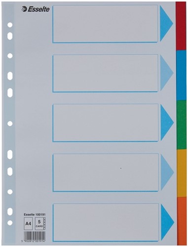 Tabbladen Esselte A4 11R karton 5-delig met voorblad