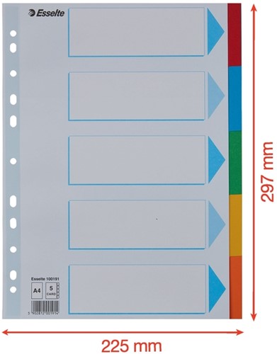 Tabbladen Esselte A4 11R karton 5-delig met voorblad-2