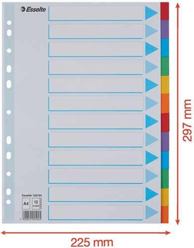 Tabbladen Esselte A4 11R karton 12-delig met voorblad-2