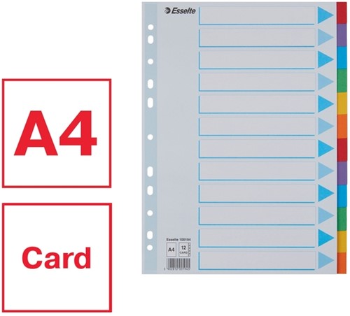 Tabbladen Esselte A4 11R karton 12-delig met voorblad-3