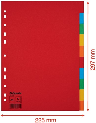 Tabbladen Esselte A4 11R karton 10-delig zonder voorblad-2