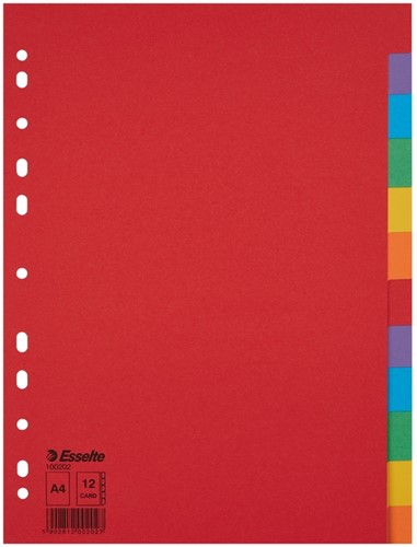 Tabbladen Esselte A4 11R karton 12-delig zonder voorblad