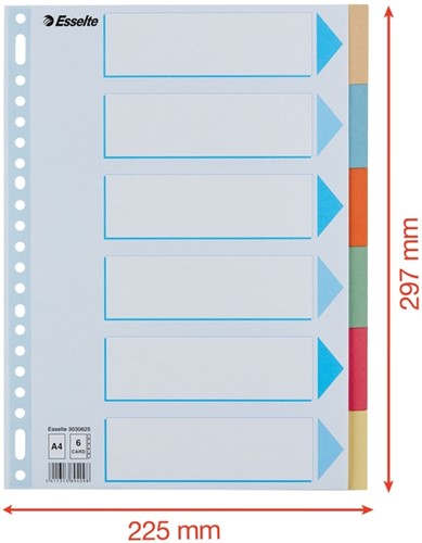 Tabbladen Esselte A4 23-gaats karton 6-delig assorti-2