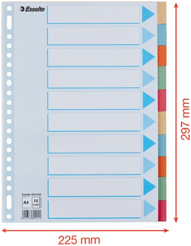 Tabbladen Esselte A4 23-gaats karton 10-delig assorti-3