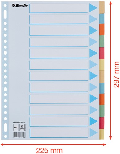 Tabbladen Esselte A4 23-gaats karton 12-delig assorti-2
