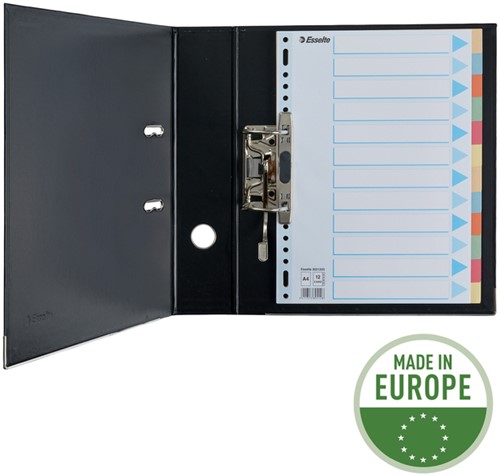 Tabbladen Esselte A4 23-gaats karton 12-delig assorti-3