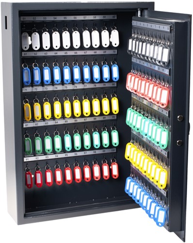 Sleutelkast Pavo high security 100 haken 555x408x138mm