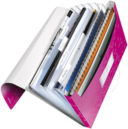 Sorteermap Leitz WOW PP 6-vaks roze-2