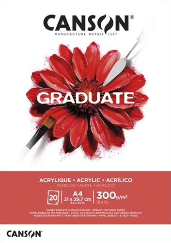 Olie Acrylblok Canson Graduate A4 290gr 20vel