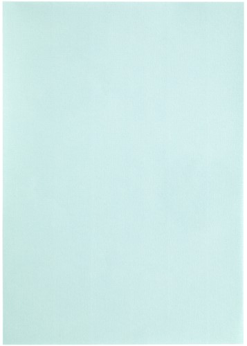 Kopieerpapier Papicolor A4 200gr 6vel zeegroen-3