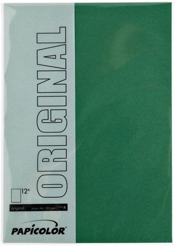 Kopieerpapier Papicolor A4 100gr 12vel dennengroen-2