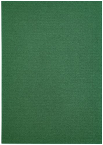 Kopieerpapier Papicolor A4 100gr 12vel dennengroen-3