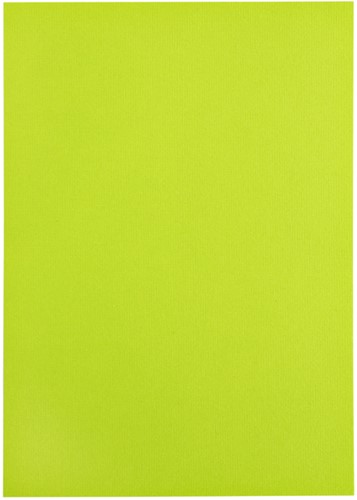 Kopieerpapier Papicolor A4 200gr 6vel appelgroen-3