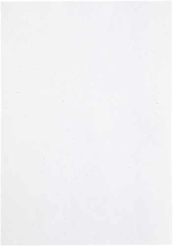Kopieerpapier Papicolor A4 200gr 6vel kraft wit-3