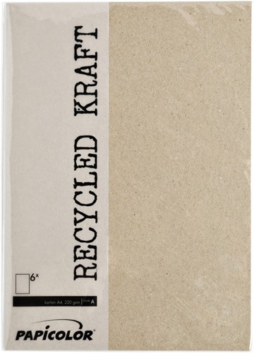 Kopieerpapier Papicolor A4 100gr 12vel kraft grijs-2