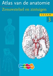 SESAM Atlas van de anatomie deel 3 - Zenuwstelsel en zintuigen