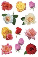 Etiket Herma rozen-2