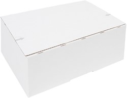 Postpakketbox Budget 4 305x215x110mm bruin