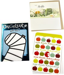 Wenskaart Paperclip navulset beterschap set à 12 kaarten