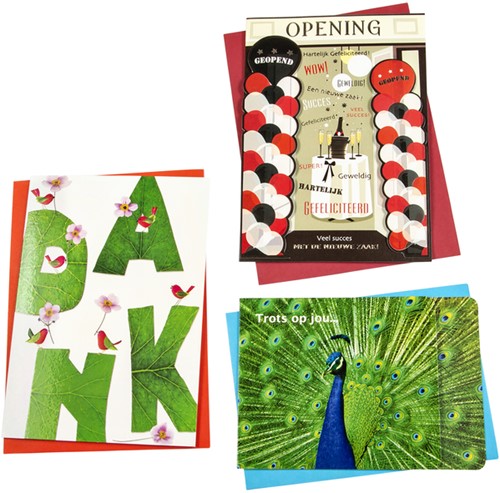 Wenskaart Paperclip diversen navulset à 12 stuks