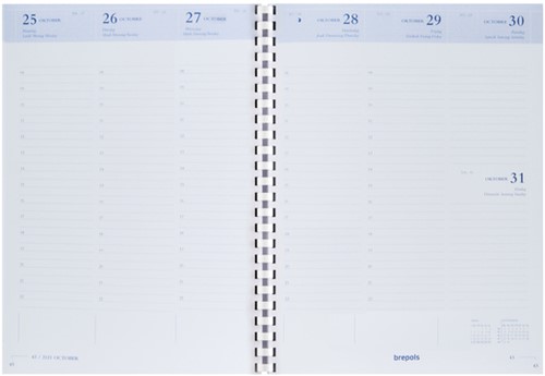 Agendavulling 2021 Timing spiraal NL wit