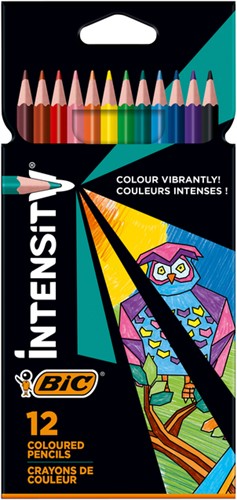 Kleurpotlood Bic Color Up 12 kleuren
